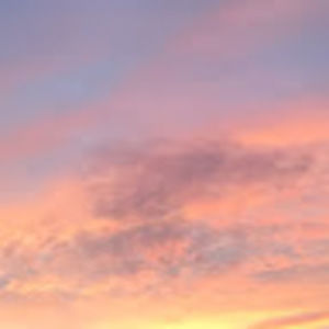 Meet your Posher, Tanical